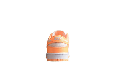 Nike Dunk Low SB